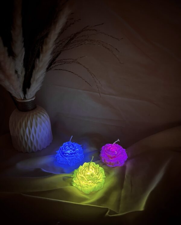 Glow in the dark roses - Image 2